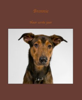 Brennie book cover