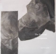 The Pictorial Consequence book cover