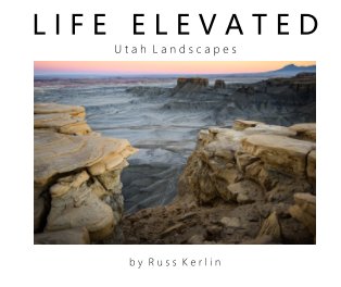 Life Elevated book cover