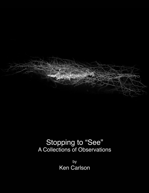 Ver Stopping to "See" por Ken Carlson