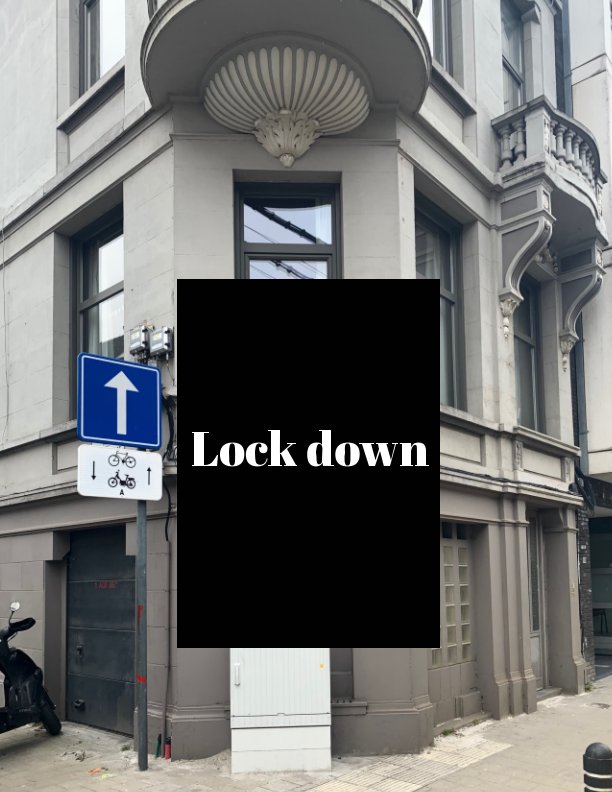 View Lock down 2 by Patrick Mahy