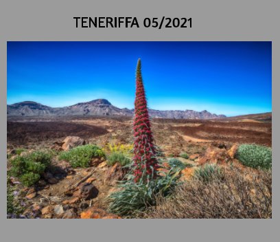 Teneriffa 2021 book cover