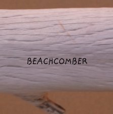 Beachcomber book cover