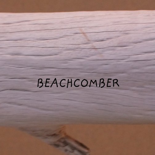 View Beachcomber by Dan Van Schayk