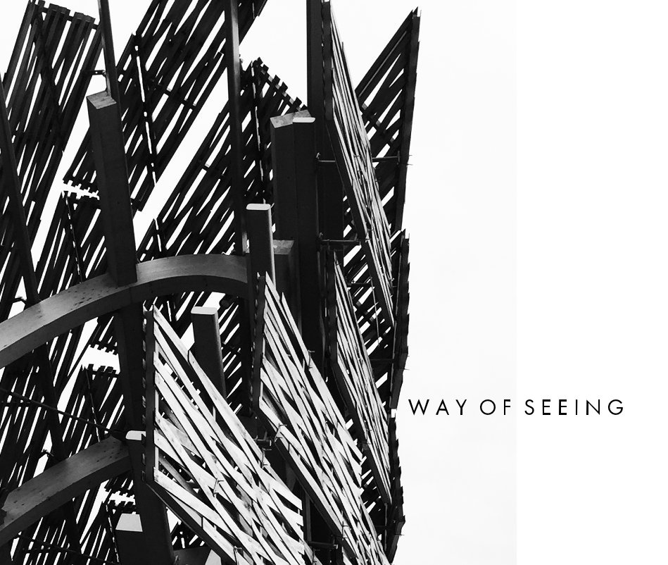 View Way of Seeing by Jonathan Pearlman