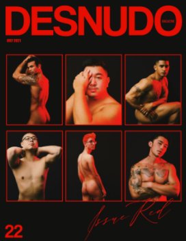 Desnudo Issue 22 book cover