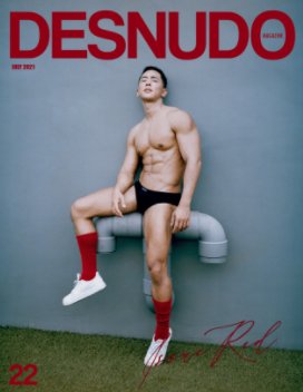 Desnudo Issue 22 book cover