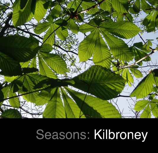Visualizza Seasons: Kilbroney di Alyn Jones Robin Crockett