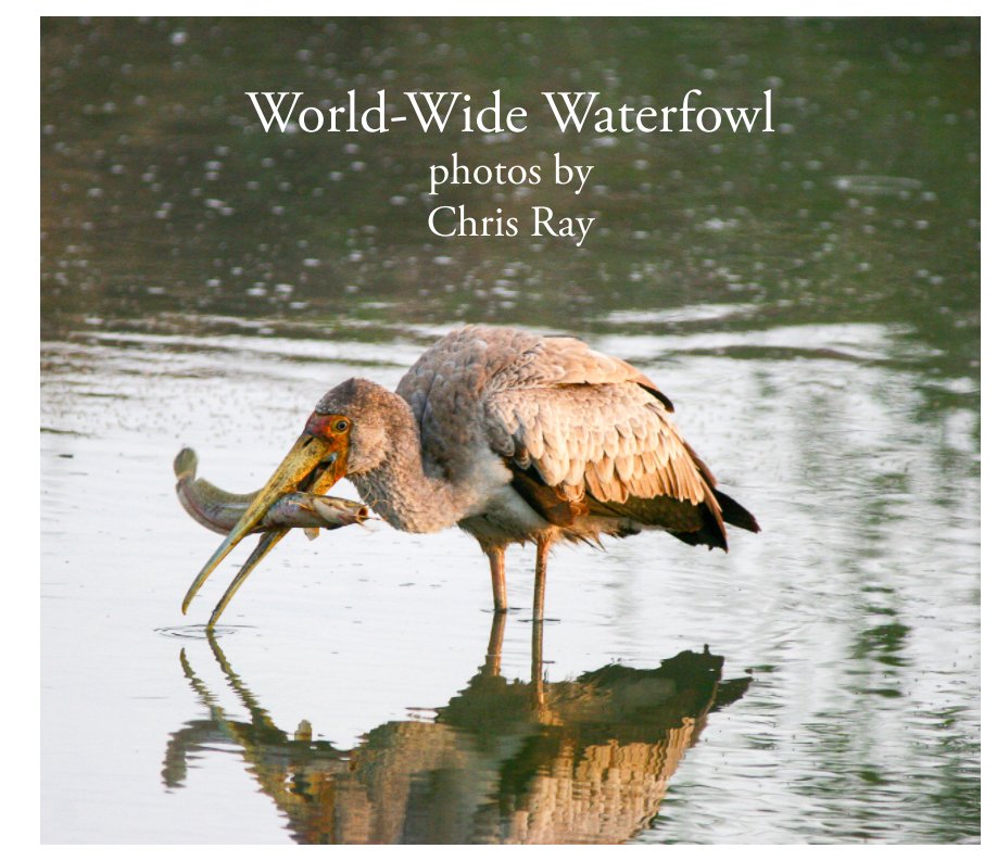 Ver Worldwide Waterfowl por Chris Ray