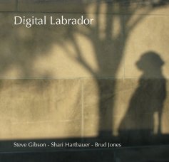 Digital Labrador book cover