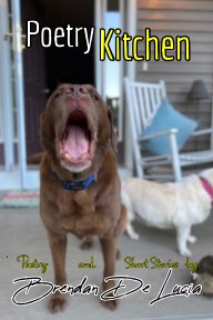 The Poetry Kitchen book cover