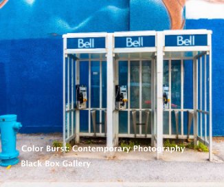 Color Burst: Contemporary Photography book cover