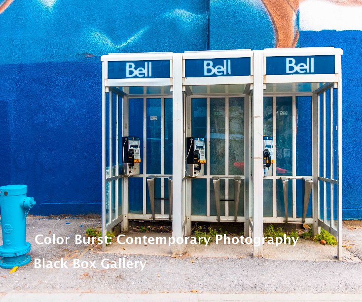 View Color Burst: Contemporary Photography by Black Box Gallery