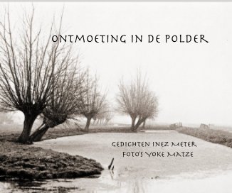 Ontmoeting in de Polder book cover