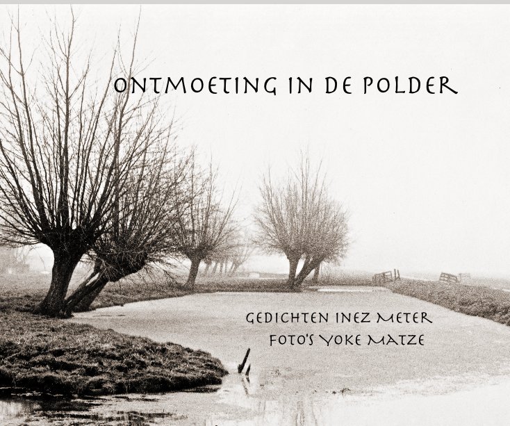 View Ontmoeting in de Polder by Inez Meter - Yoke Matze