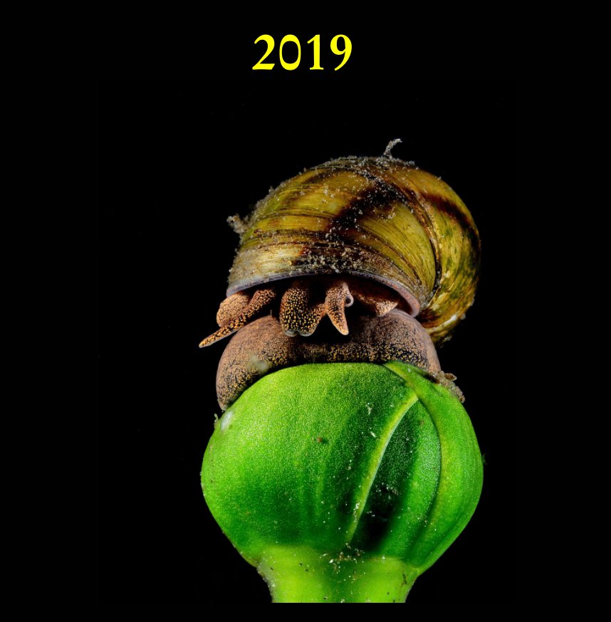 Visualizza 2019 di Dennis Malmström