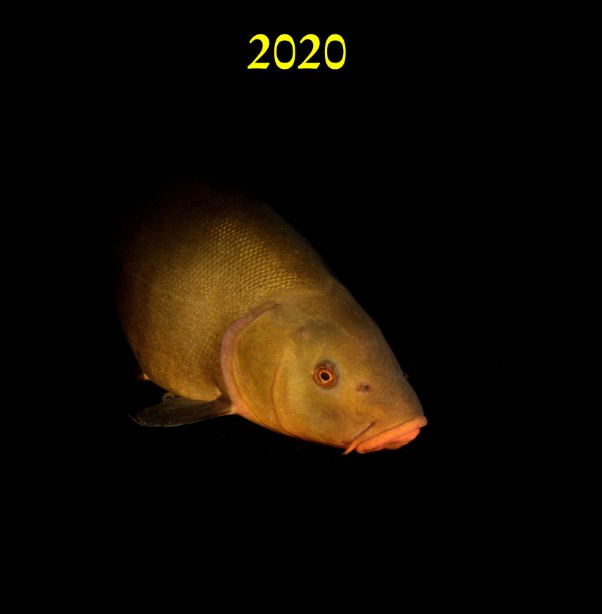 Visualizza 2020 di Dennis Malmström