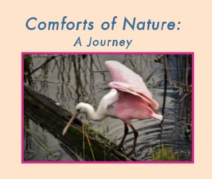 Comforts of Nature book cover