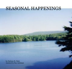 SEASONAL HAPPENINGS book cover