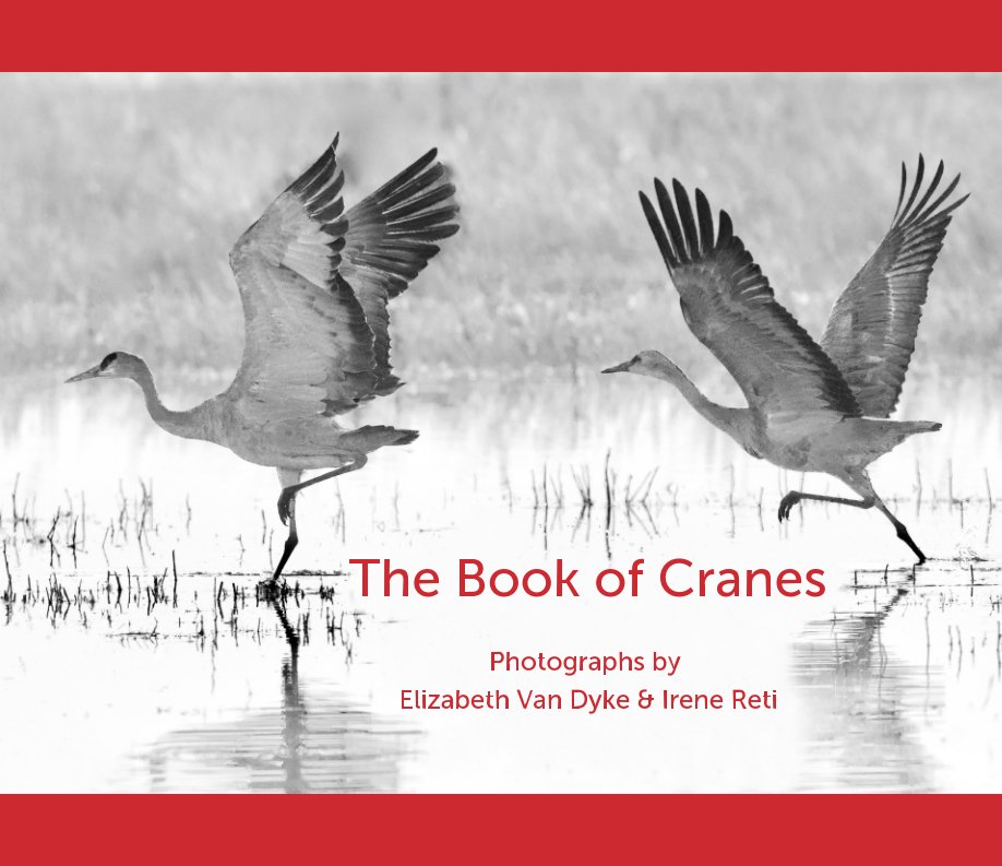 View The Book of Cranes by Elizabeth Van Dyke, Irene Reti