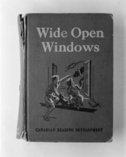 Wide Open Windows book cover