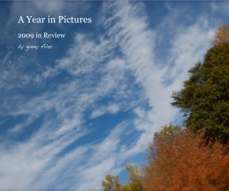 A Year in Pictures book cover