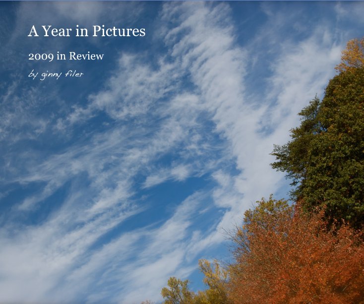 View A Year in Pictures by ginny filer