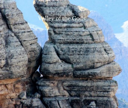Valley of the Gods book cover