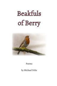 Beakfuls of Berry book cover