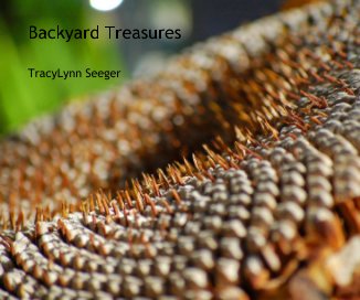 Backyard Treasures book cover
