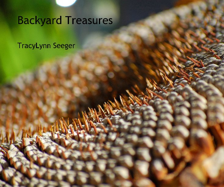 Ver Backyard Treasures por TracyLynn Seeger