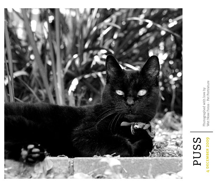 View Puss by Wet Nose Fotos