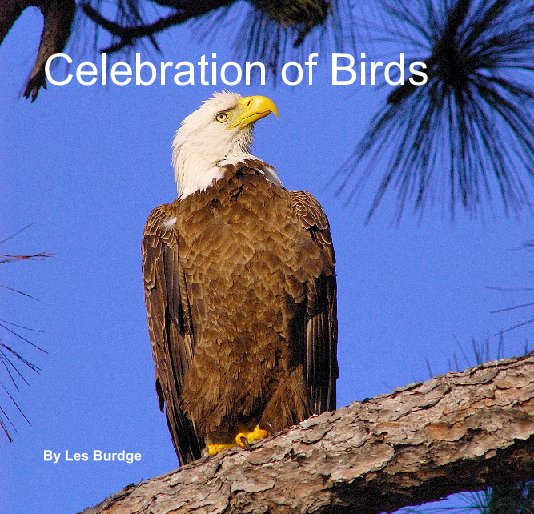 Ver Celebration of Birds por Les Burdge