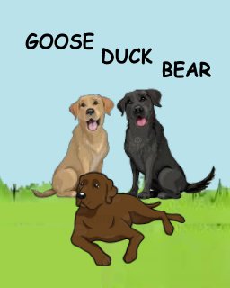 Goose Duck Bear book cover