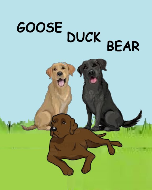View Goose Duck Bear by Ann Greene Smullen