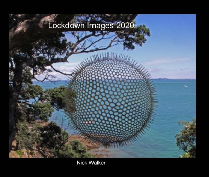 Lockdown2020 book cover