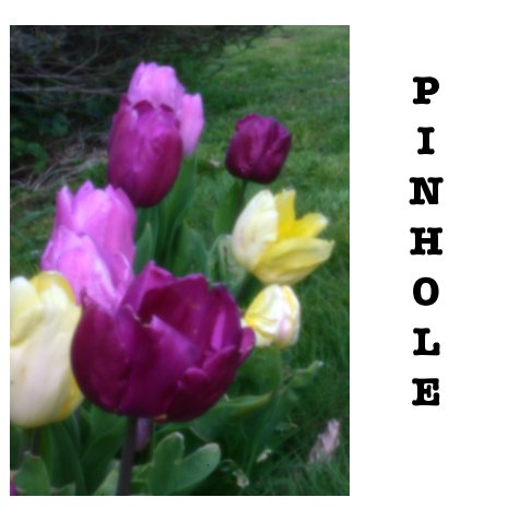 Pinhole Photography nach Dr Brian Hellyer anzeigen