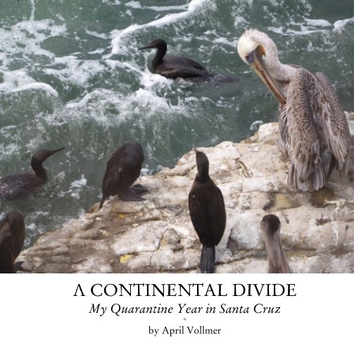 View A Continental Divide by April Vollmer