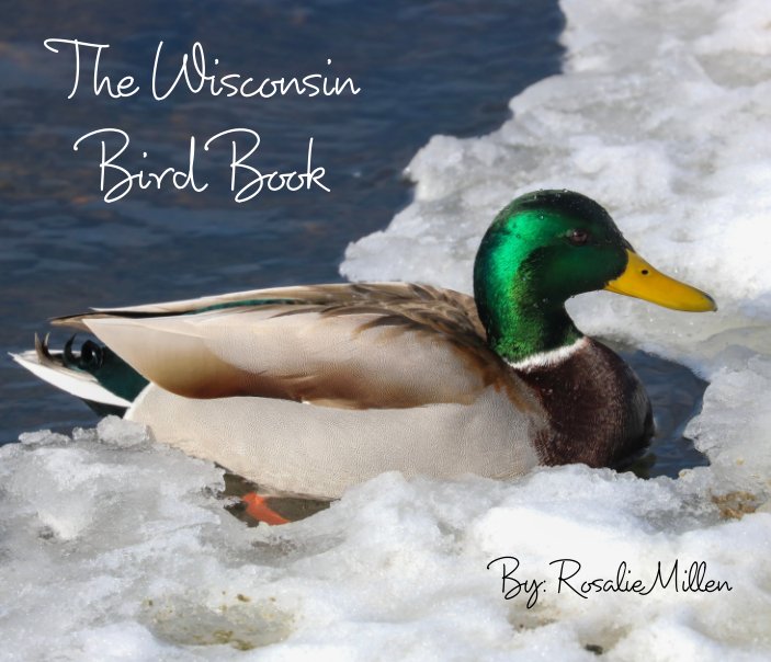 Bekijk The Wisconsin Bird Book op Rosalie Millen