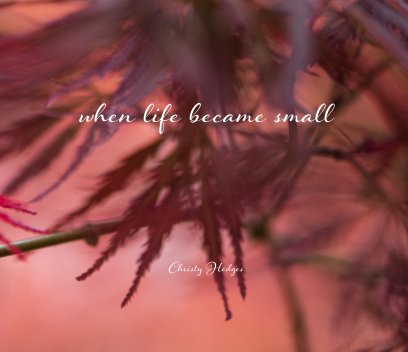 when life became small book cover