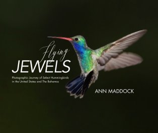 Flying Jewels book cover