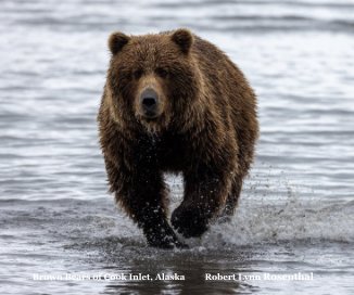 Brown Bears of Cook Inlet, Alaska book cover