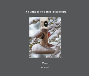 The Birds in My Santa Fe Backyard - Winter Hardcover book cover