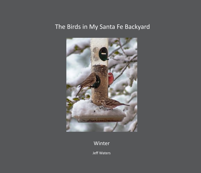 View The Birds in My Santa Fe Backyard - Winter Hardcover by Jeff Waters