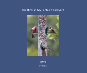 The Birds in My Santa Fe Backyard soft cover Spring Edition book cover
