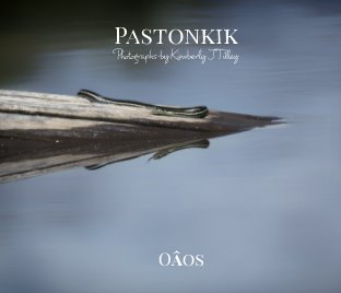 Pastonkik book cover