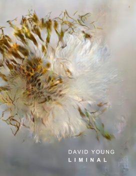 David Young: Liminal book cover