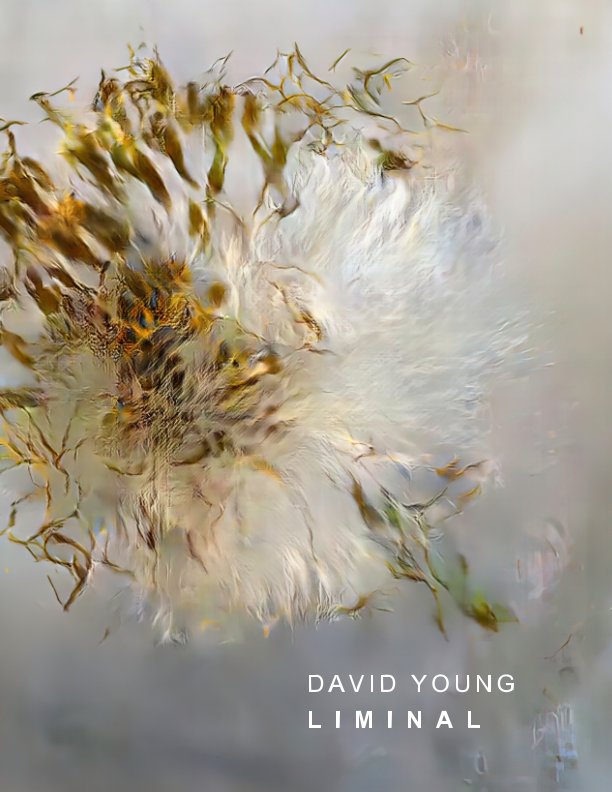 View David Young: Liminal by Hawk and Hive