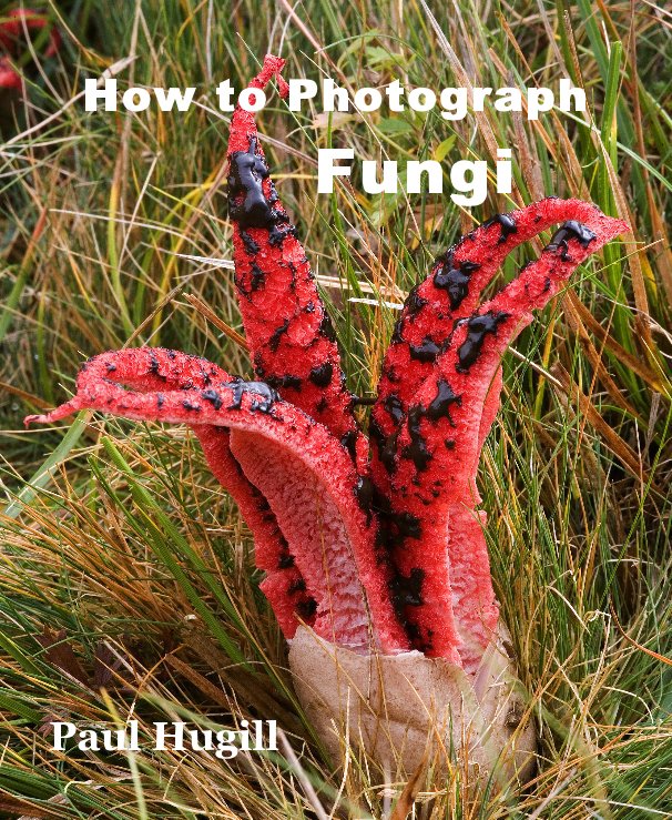 View How to Photograph Fungi by Paul Hugill