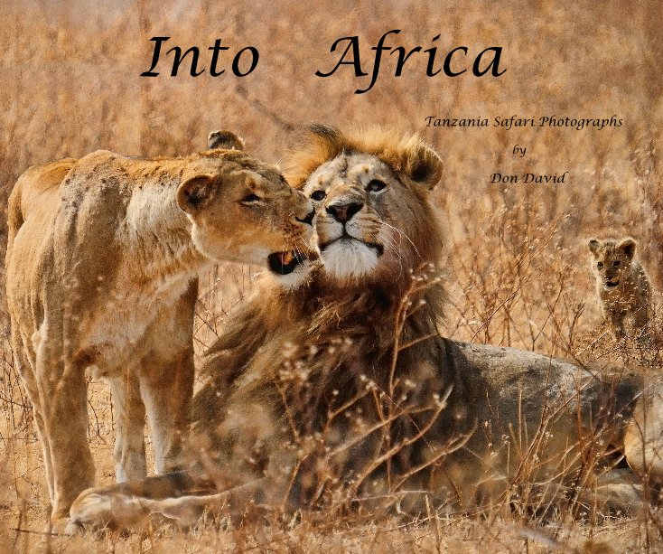 View Into Africa by Don David